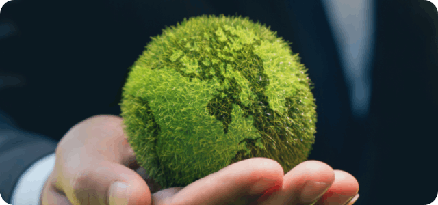 How Virtual Interns Make Tangible Impacts on Companies with Sustainable Missions